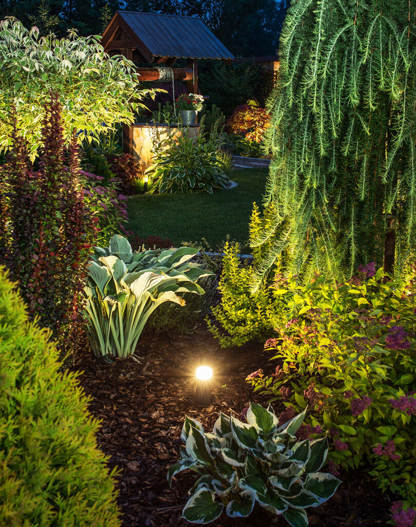 landscape-lighting_vertical
