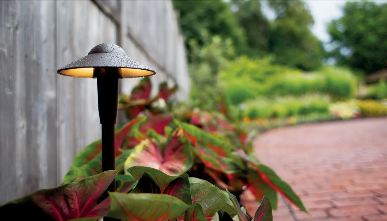 landscape landscape lighting